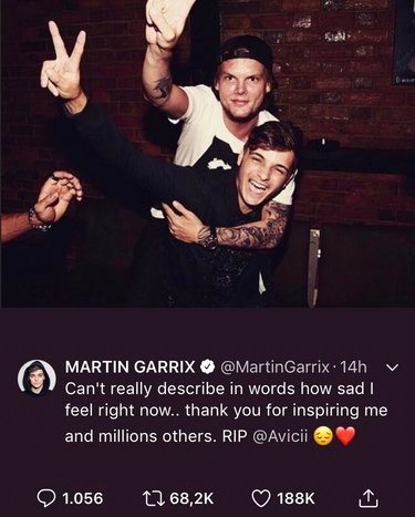 martin_garrix.jpg