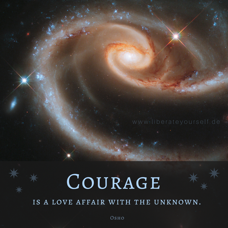 _Courage is a love affair with the unknown .png