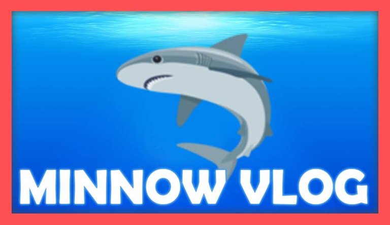 minnow-vlog.jpg