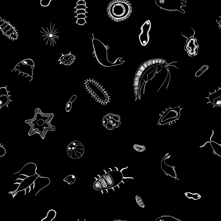 plankton pattern.jpg