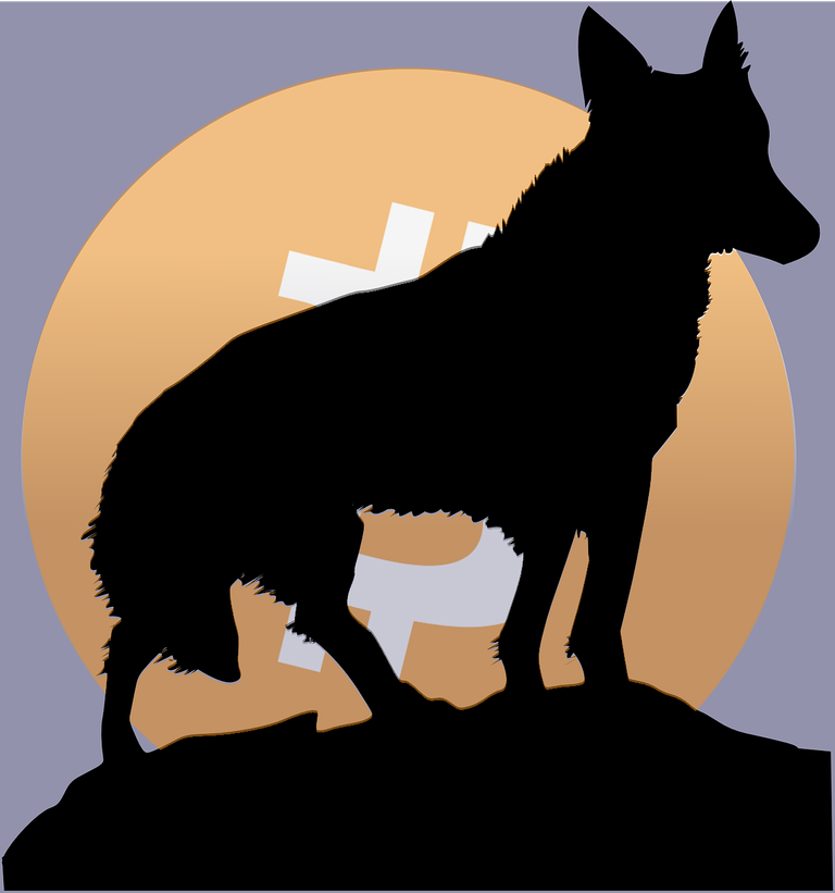 bitcoin mond wolf.png