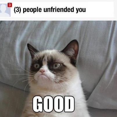 grumpy cat.jpg