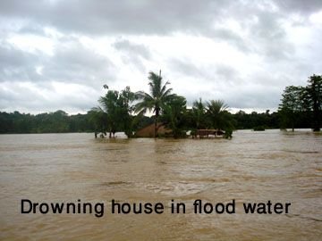 Drowning houses.jpg