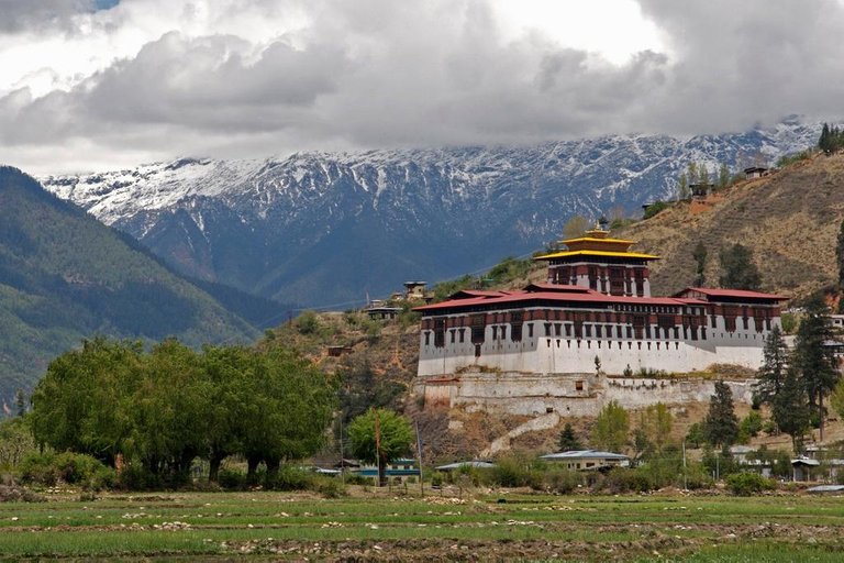 paro-bhutan-by-suzan-black-in-paro-district-paro-bhutan_6424415_l.jpg