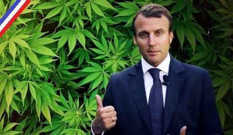 macron-weed-ok-480x279.jpg