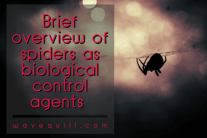 spiders biological control opt.png