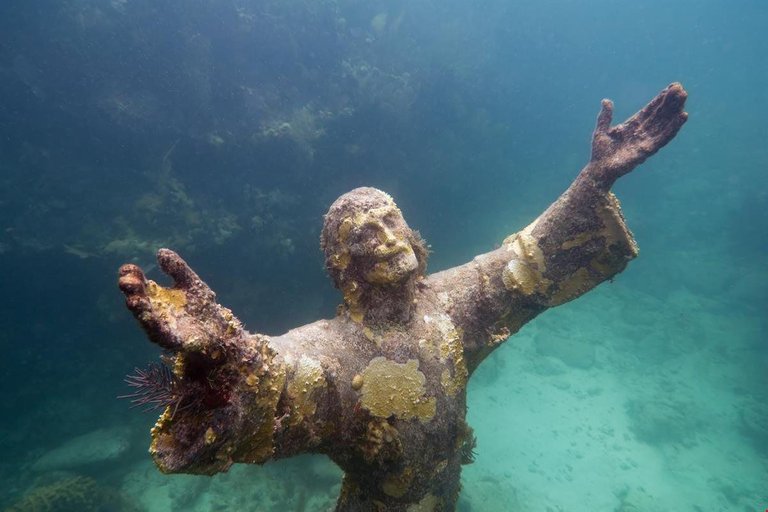 john pennekamp coral reef state park_topfactro.jpg