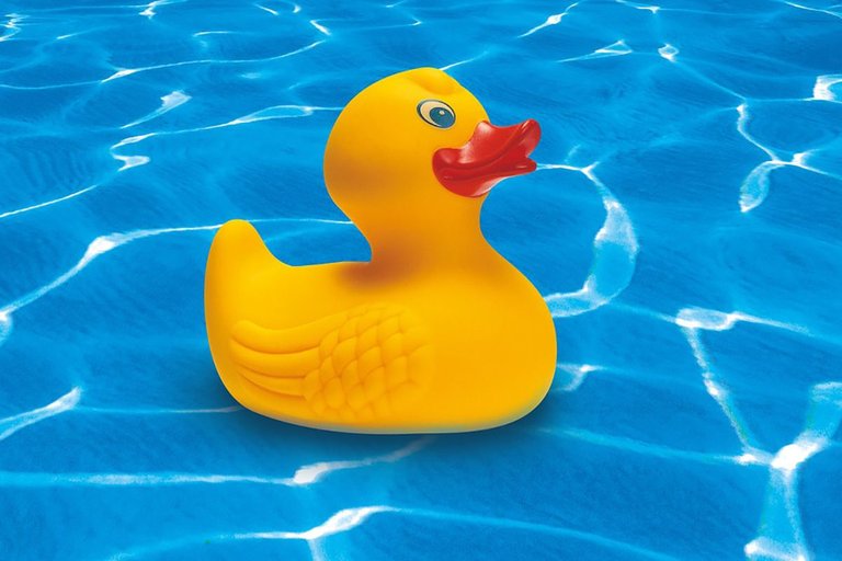 rubber-duck-248093_960_720.jpg