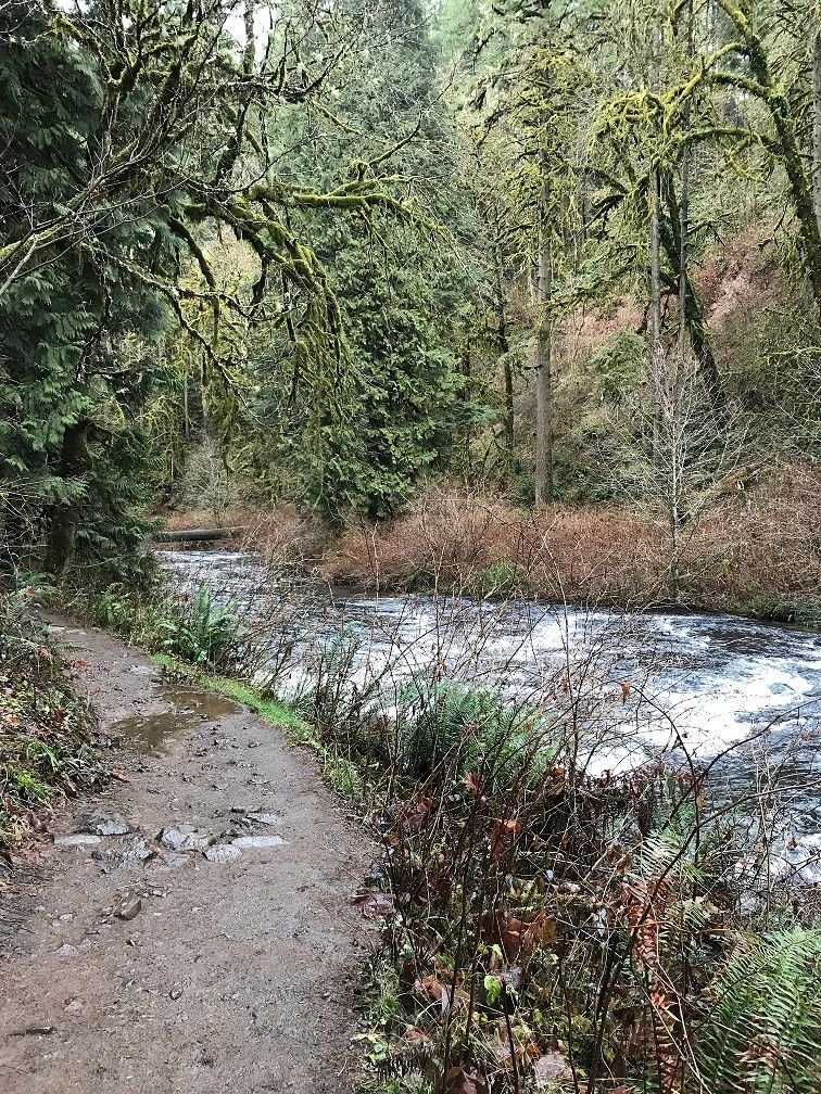 Trail along the creek.jpg