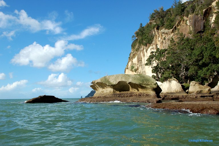 nz6_15.jpg