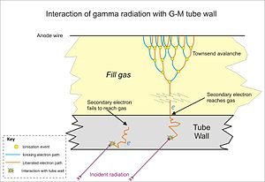 300px-Geiger_gamma_interaction.jpg