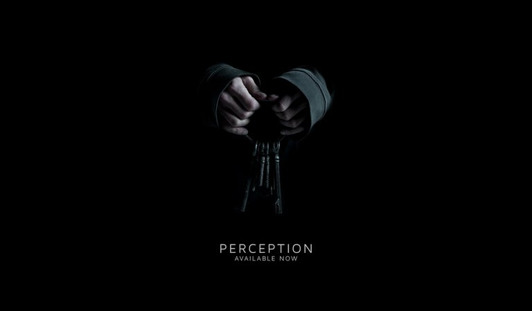 NF_Perception_AvailableNow_WebsiteImage_2732x1596.jpg