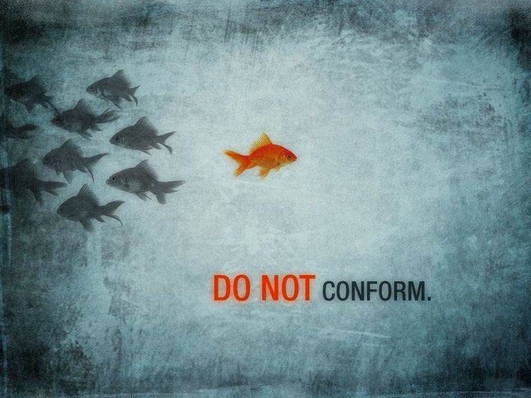 do-not-conform-fish.jpg