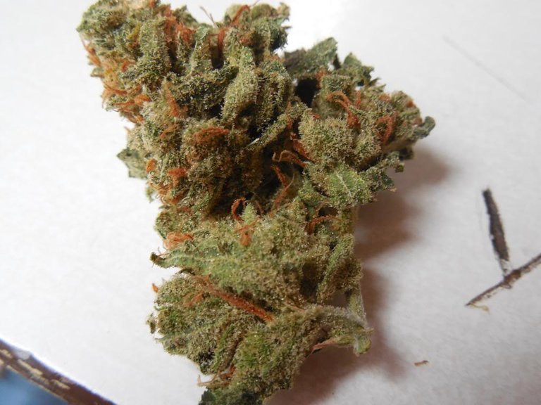 amnesia-haze-automatic.jpg