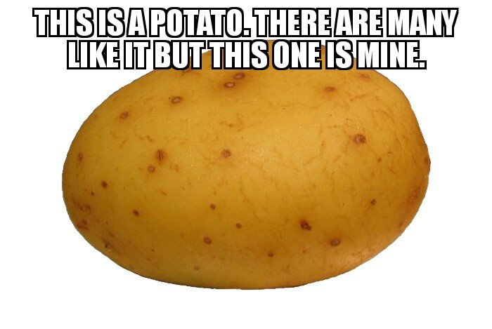 Potato1 08122017212559.jpg