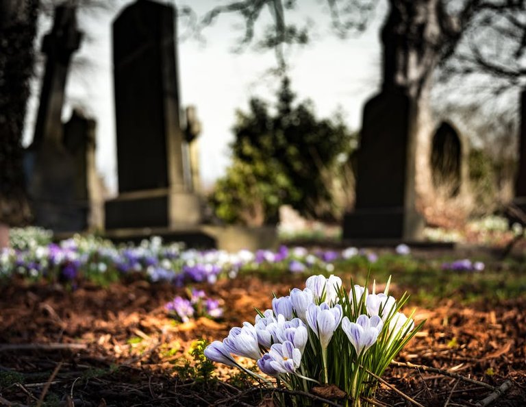 graveyard-church-crocus-cemetery-161280.jpg