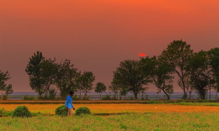 Rural areas near Punjab river.jpg