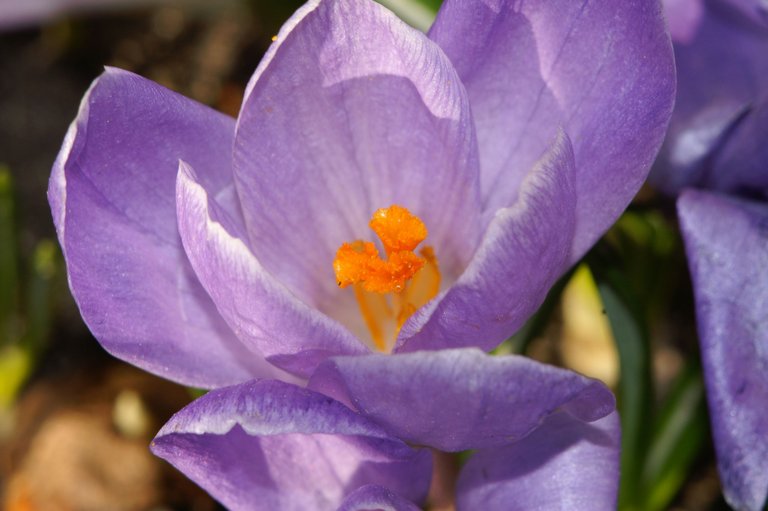 PICT1010.JPG