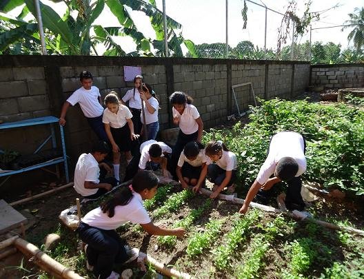 Agricultura foto 1.jpg