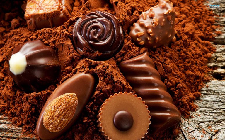 169773-chocolate-chocolate-pralines.jpg