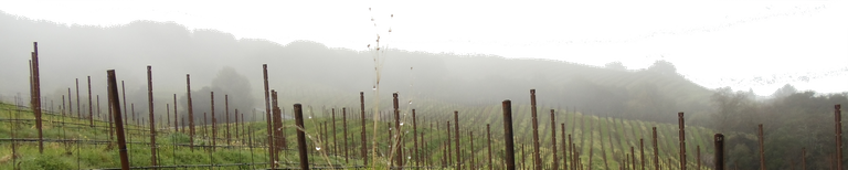 Mt. Veeder.png