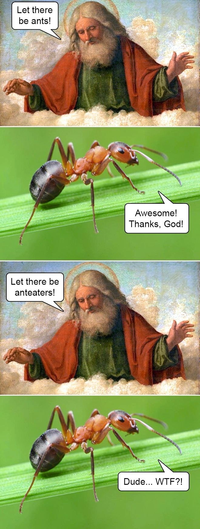 ant-eaters.jpg