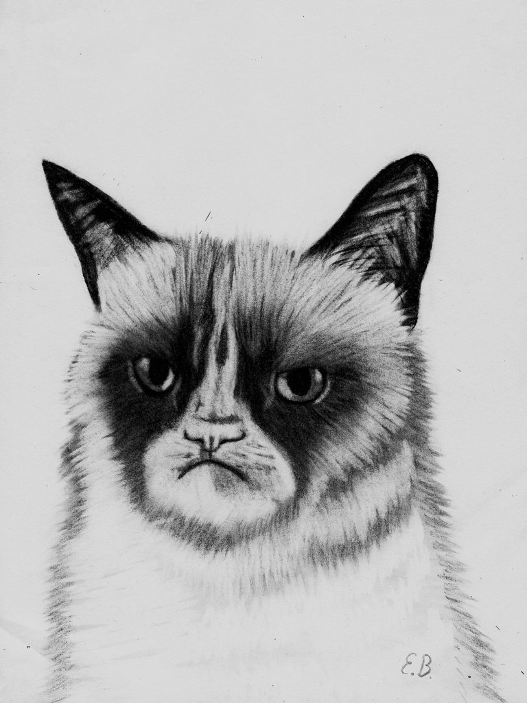 Grumpy_cat_1.jpg