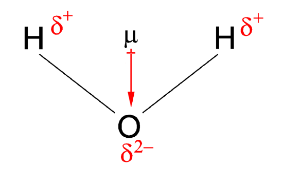 800px-Water_dipole2-1.png