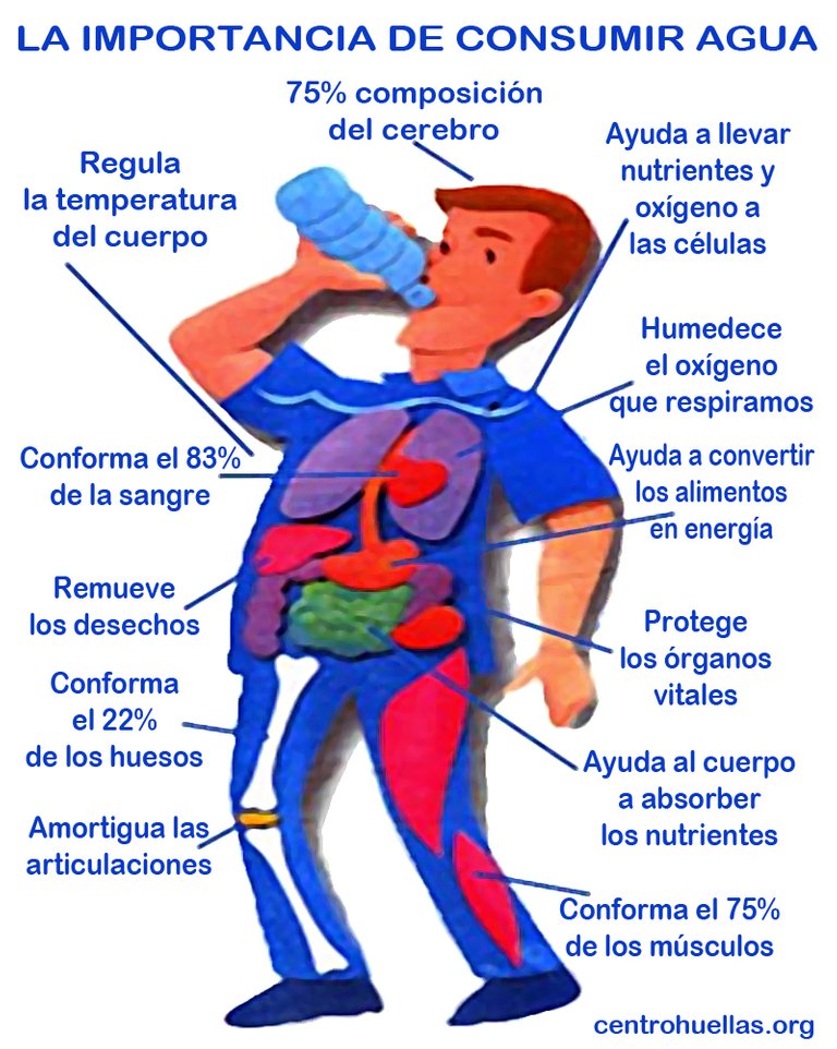 agua-y-el-cuerpo.jpg