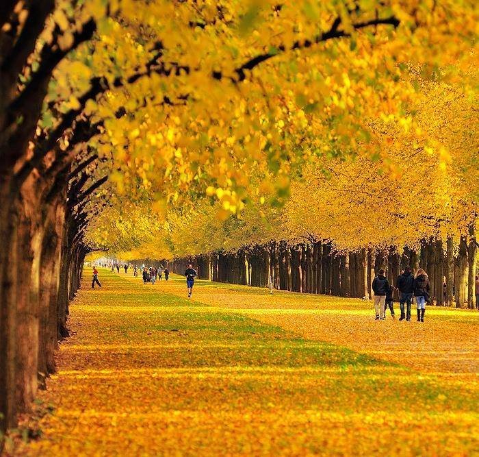 Georgengarten Garden, Hannover, Germany.jpg