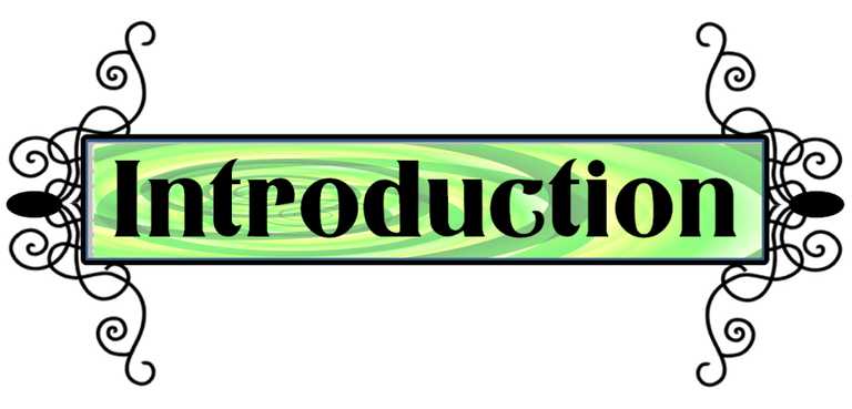 Introduction-862x414-2-862x414-min-862x414.png