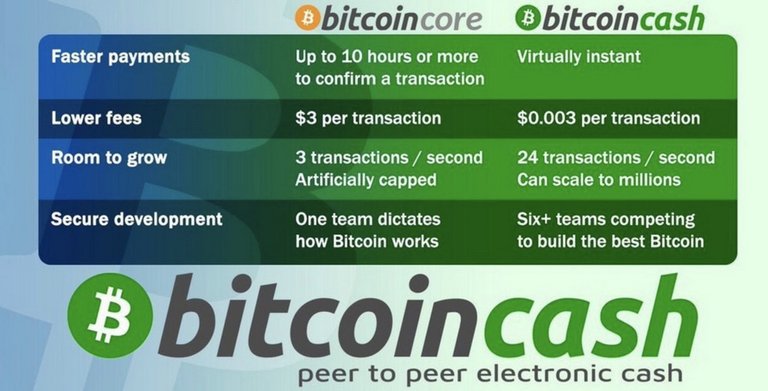 BTC vs BCH.jpg