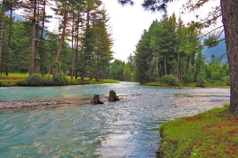 Kumrat Valley.jpg