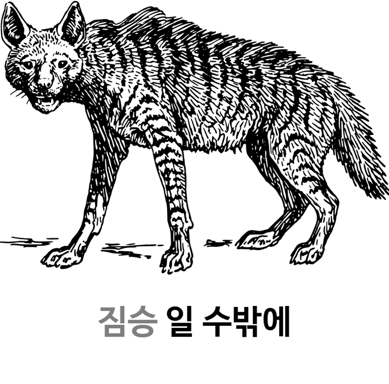 이미지 3.png