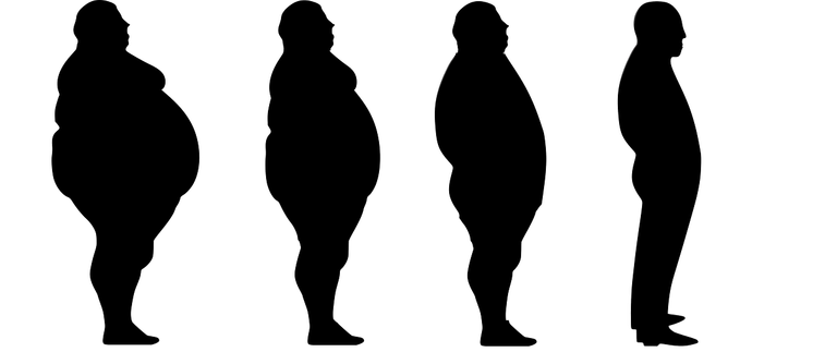 lose-weight-1911605_1280.png