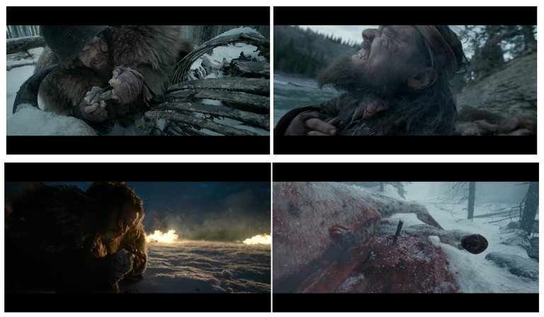 The.Revenant.2015.BD1080P.X264.AAC.English.CHS-ENG.Mp4Ba.mp4_20171006_225741.720_副本.jpg