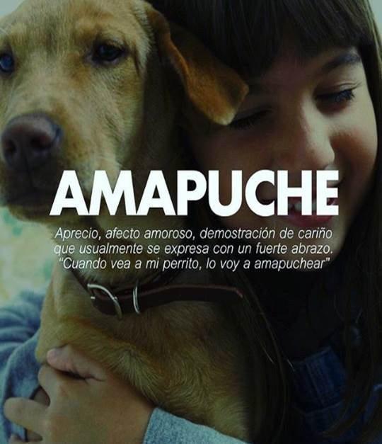 amapuche.jpg