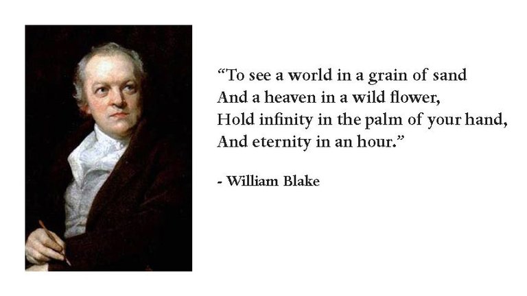 william-blake-world-grain-sand-quote-inspiration.jpg