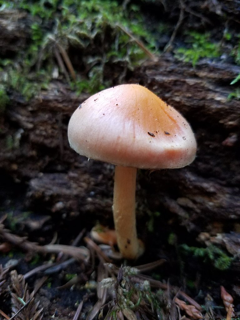 20171219_130850.jpg