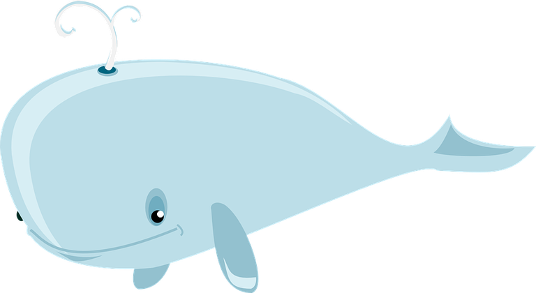 whale-36828__480.png