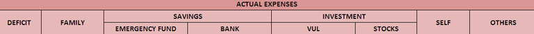ACTUAL EXPENSES.png