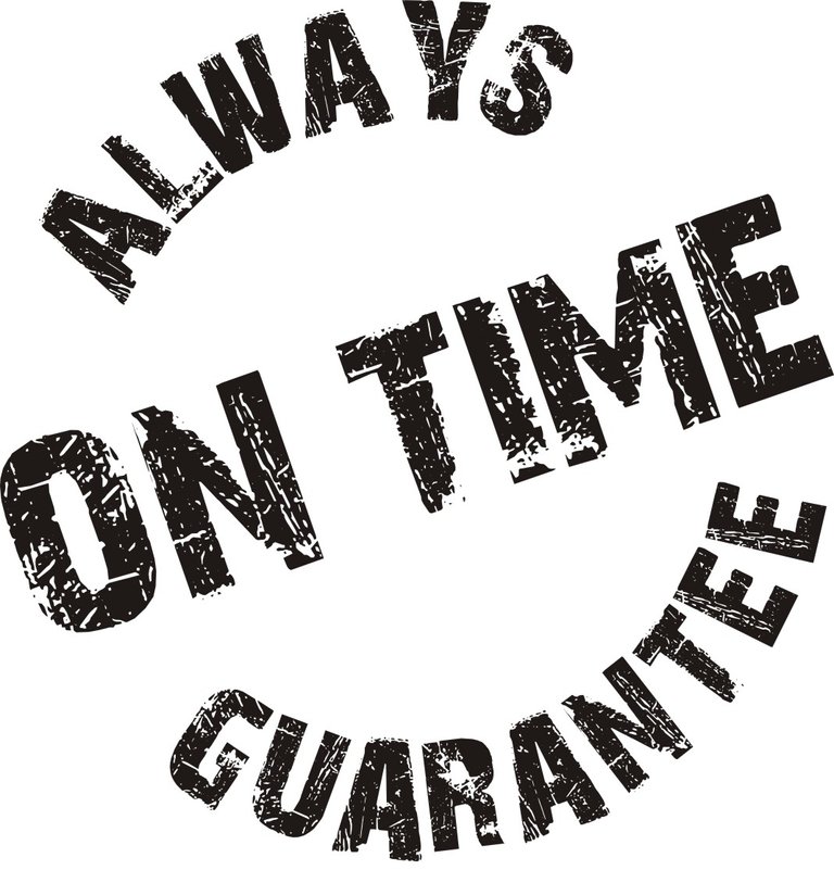 SavvyCleaner.com-always-on-time-guarantee.jpg