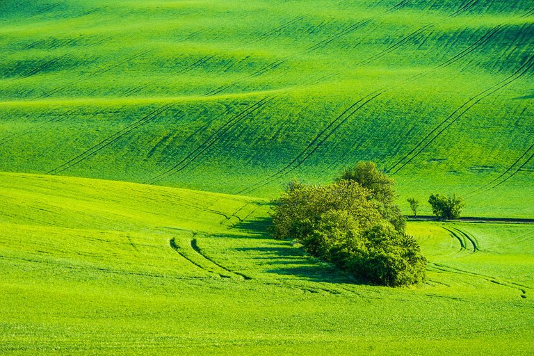 green-fields-free-photo-DSC08286-2210x1473.jpg