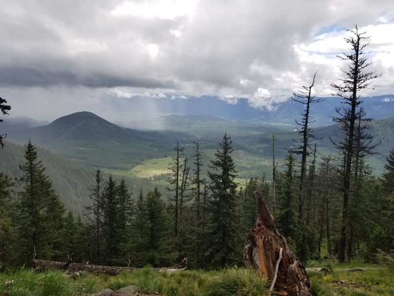 20170610_130307.jpg