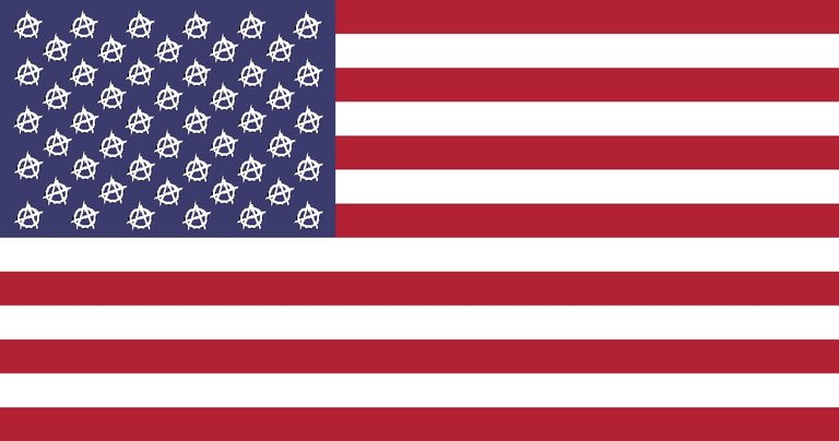 americanwhiteanarchyflag.jpg