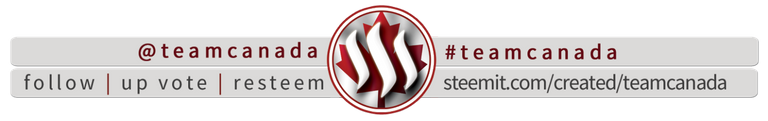 TEAMCANADA-GENERICFOOTER2 (1).png