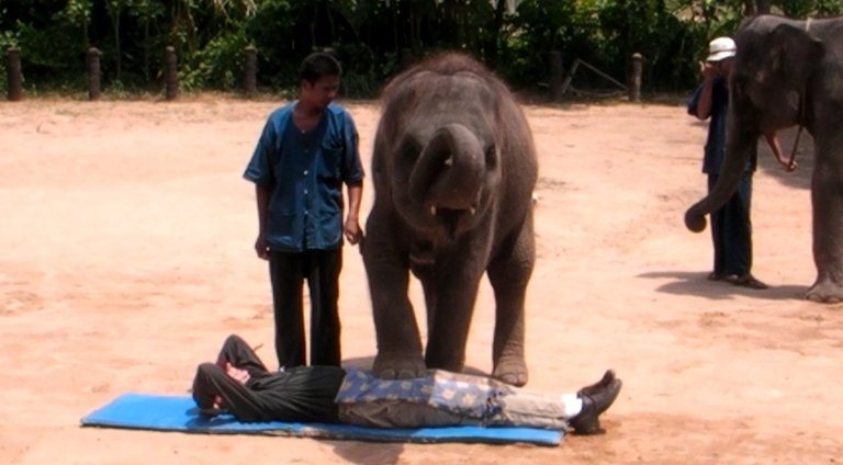 elephant-massage.jpg