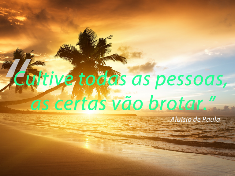 frase1.png