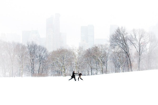 couple_sheep_meadow.jpg