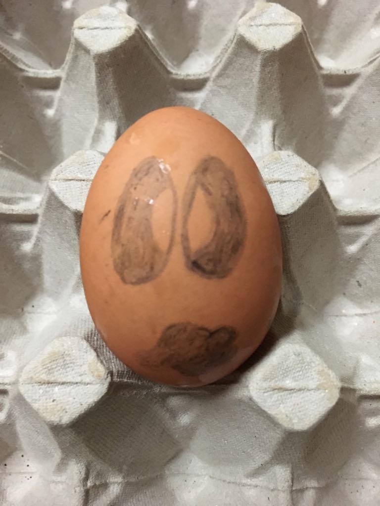 egg 7.jpg